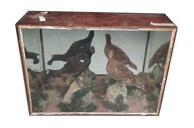 Lot 452 - A Victorian taxidermy game bird display case