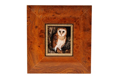 Lot 131 - Carl Whitfield - Barn Owl | oil