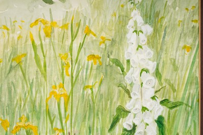 Lot 69 - Sadie Allen - The White Foxglove | watercolour