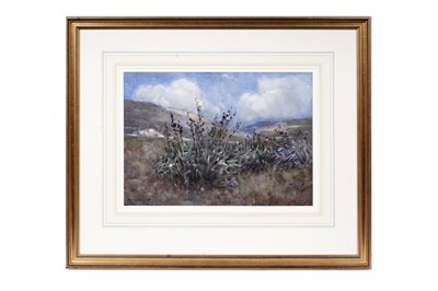 Lot 46 - Margaret Olrog Stoddart - New Zealand Landscape | watercolour