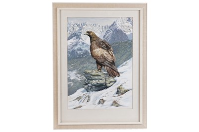 Lot 79 - Hilary Burn - Golden Eagle in the Karwendel Alps | gouache