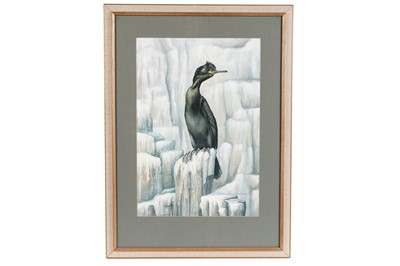 Lot 80 - Hilary Burn - Shag | gouache