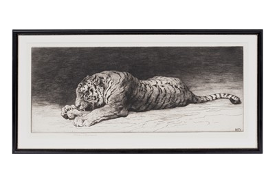 Lot 5 - Herbert Thomas Dicksee RE - Study of a Tiger Eating | etching