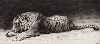 Lot 5 - Herbert Thomas Dicksee RE - Study of a Tiger Eating | etching