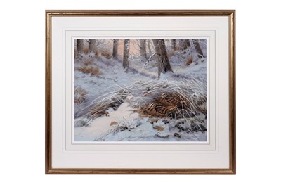 Lot 54 - Richard Robjent - Two Woodcock in Winter | watercolour