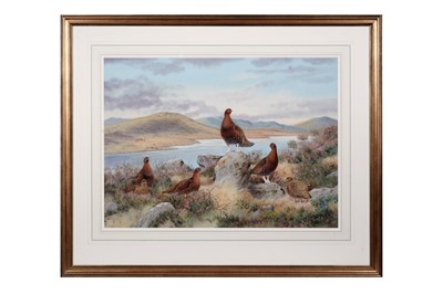 Lot 55 - Richard Robjent - Highland Grouse | watercolour