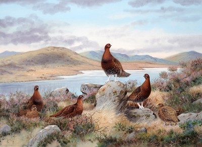 Lot 55 - Richard Robjent - Highland Grouse | watercolour