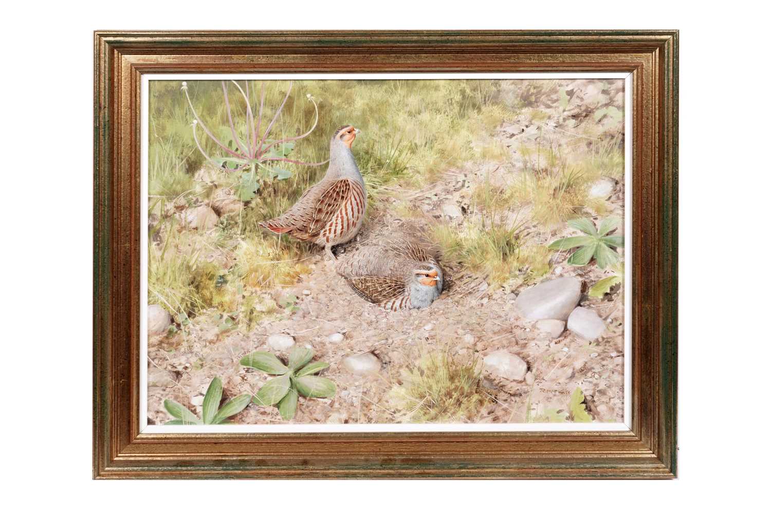 Lot 170 - Rodger McPhail - Partridge - oil on paper