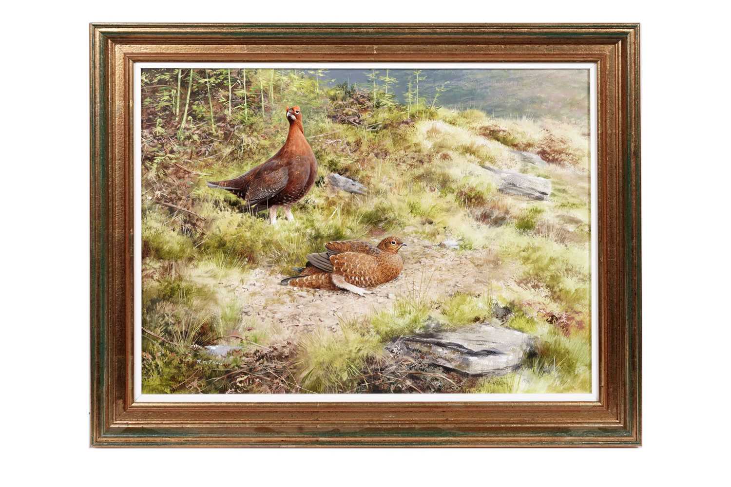 Lot 171 - Rodger McPhail - Grouse | oil on paper