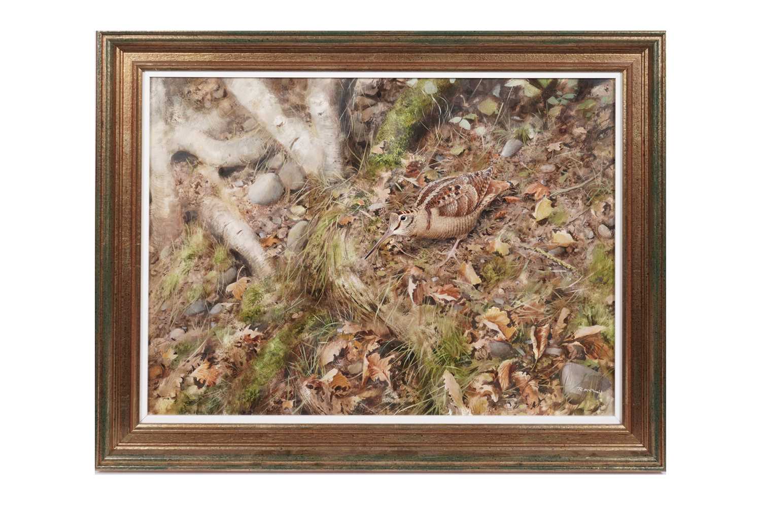Lot 172 - Rodger McPhail - Woodcock | oil on paper