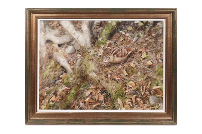 Lot 172 - Rodger McPhail - Woodcock | oil on paper