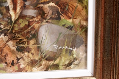 Lot 172 - Rodger McPhail - Woodcock | oil on paper