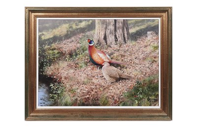 Lot 173 - Rodger McPhail - Pheasants | oil on paper