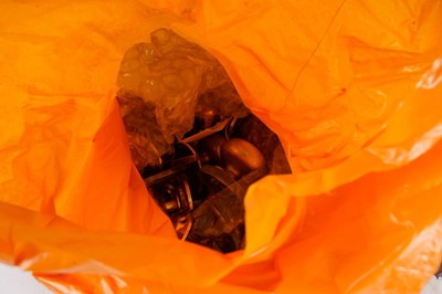 Lot 360 - A selection of tools and accessories