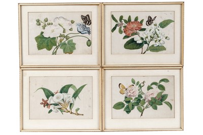 Lot 75 - Qing Chinese - Four botanical studies | gouache on pith paper