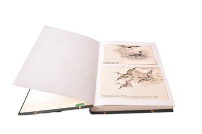 Lot 1293 - Able Chapman – a folio album of original drawings and book illustrations.