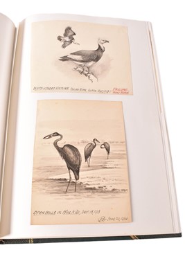 Lot 1293 - Able Chapman – a folio album of original drawings and book illustrations.