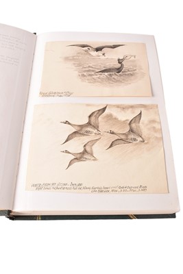 Lot 1293 - Able Chapman – a folio album of original drawings and book illustrations.