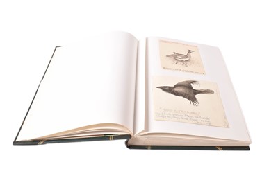 Lot 1293 - Able Chapman – a folio album of original drawings and book illustrations.