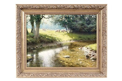 Lot 136 - Tony Sheath - Sunlight, Shadows, and Sheep