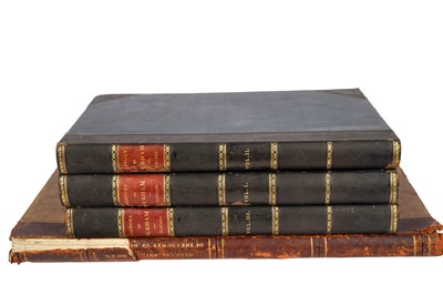 Lot 973 - Four 19th Century books on Durham