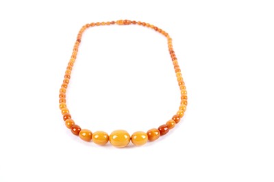 Lot 241 - A butterscotch amber graduated bead necklace