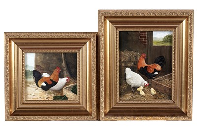 Lot 268 - Chris Sparrow - Rooster, Hen and a Trio of Chicks, and another | oils