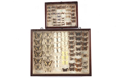 Lot 612 - Two Edwardian butterfly display cases