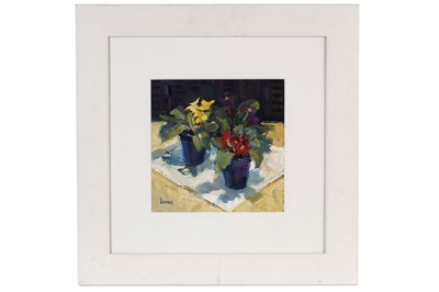 Lot 969 - Marion Drummond - Primulas for the Garden | oil