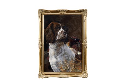 Lot 1919 - 20th Century British School - Portrait of a Spring Spaniel | oil