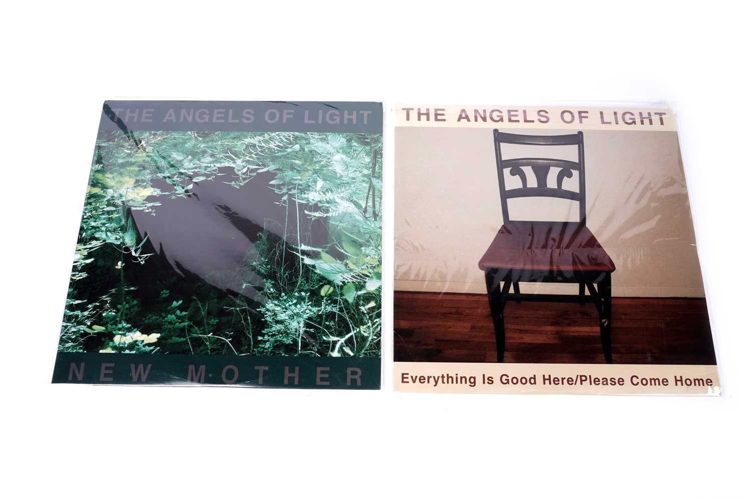 Lot 104 - Two sealed copies of records by American Folk-Rock band 'The Angels of Light'