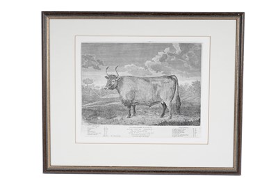 Lot 1551 - Thomas Bewick - The Remarkable Kyloe Ox | engraving