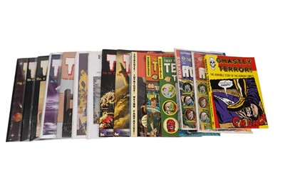 Lot 10 - Horror books and comics