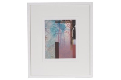 Lot 337 - Francisco Nicolás - Forest XVIII | limited edition dye sublimation print