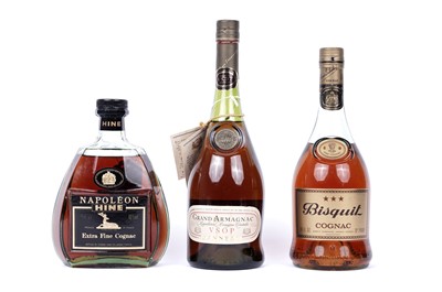 Lot 798 - A bottle of Napoleon Hine Extra Fine Cognac; and two other bottles