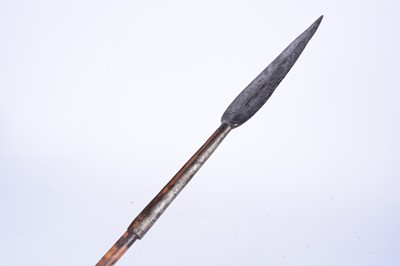 Lot 133 - A spear