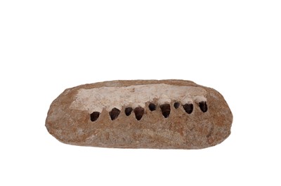 Lot 706 - A set of Mosasaurus teeth and partial jaw structure