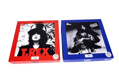 Lot 365 - Two T.Rex CD box sets