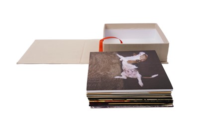 Lot 378 - Lambchop - Tour Box, 2010 10xCD/DVD limited edition box set