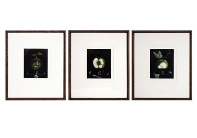 Lot 125 - Hachmi Azza - Apple A, Apple C, and Apple D | colour etchings