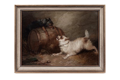 Lot 1171 - George Armfield - Two Terriers Fighting Over a Barrell | oil