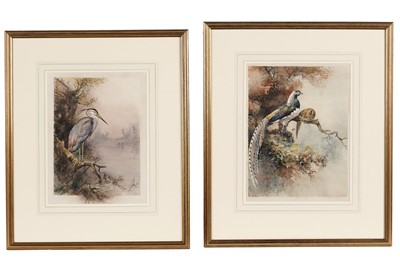 Lot 95 - William E. Powell - Heron and Pheasants | watercolour