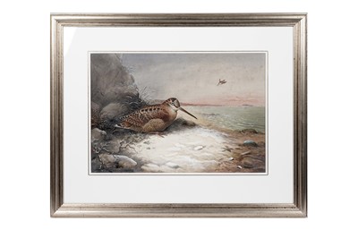 Lot 983 - John Duncan - Woodcock (Just Arrived) | watercolour