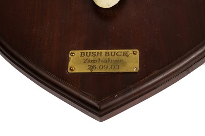Lot 1933 - Bush buck and tsessebe game trophies