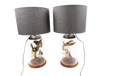 Lot 1940 - Two taxidermy table lamps