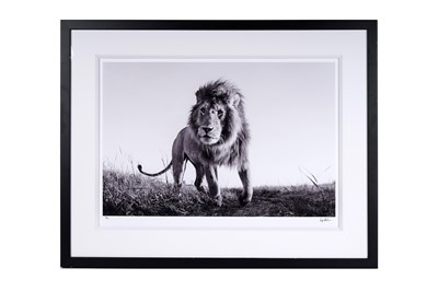 Lot 139 - Anup Shah - Hunter | limited edition photographic print