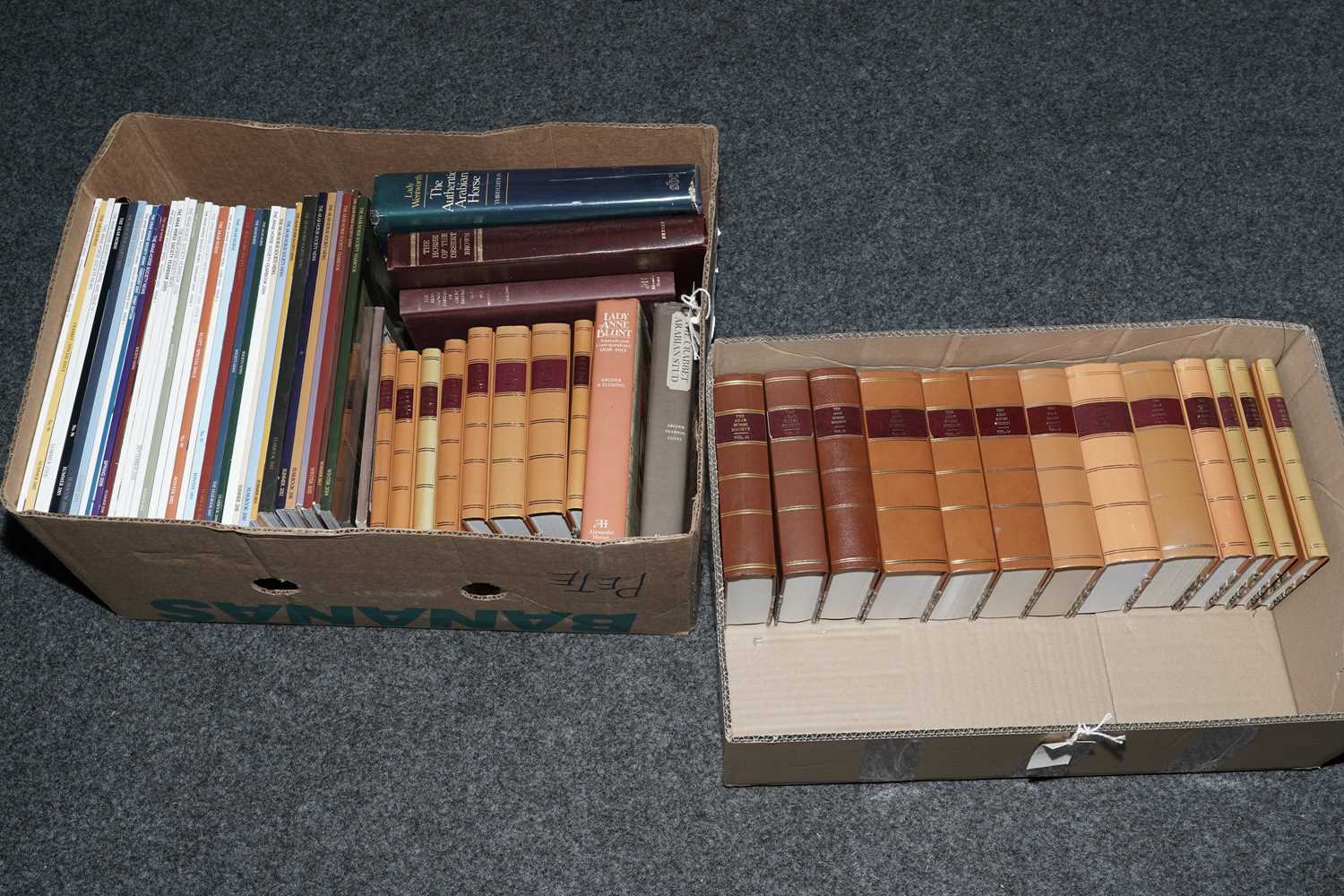 Lot 328 - A collection of books and magazines relating to Arabian horses