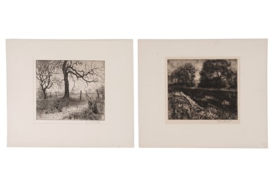 Lot 18 - Isabel Codrington - Landscape Studies | etchings