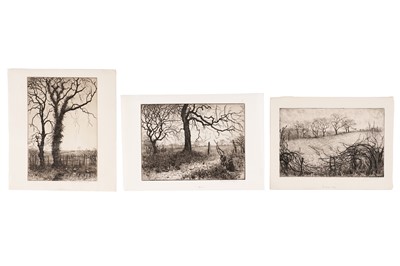 Lot 21 - Isabel Codrington - Three British landscape studies | etchings