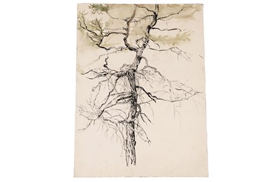 Lot 88 - Isabel Codrington - Tree study | mixed media